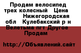 Продам велосипед  трех колесный › Цена ­ 2 000 - Нижегородская обл., Кулебакский р-н, Велетьма пгт Другое » Продам   